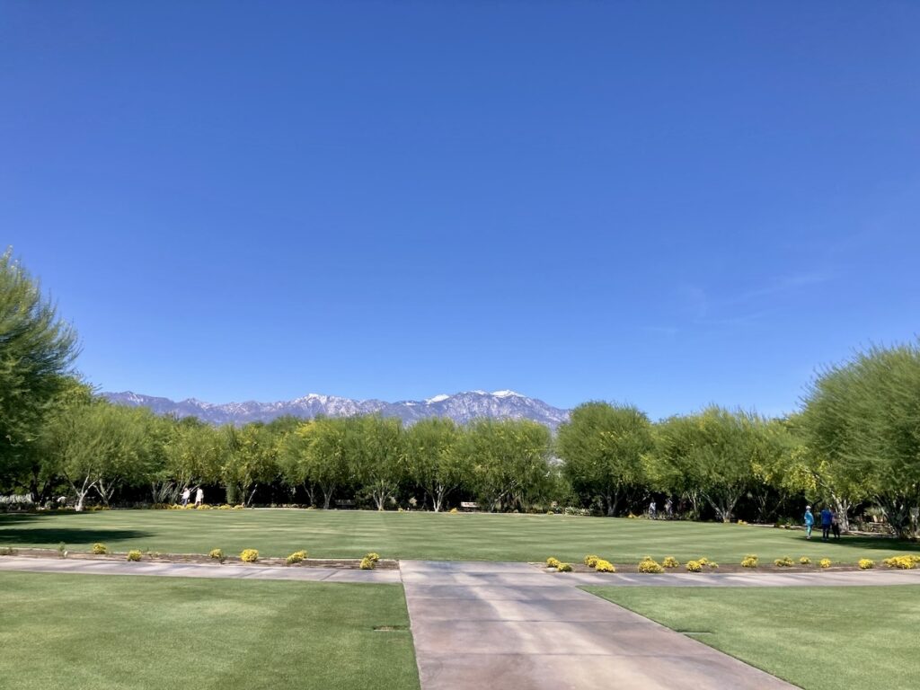 Sunnylands（庭）