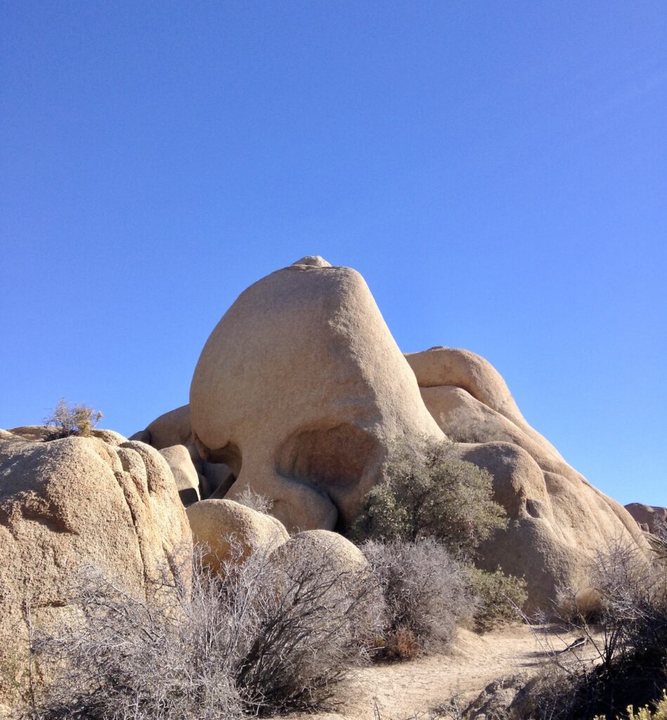 ジョシュア・ツリー国立公園（Skull Rock）